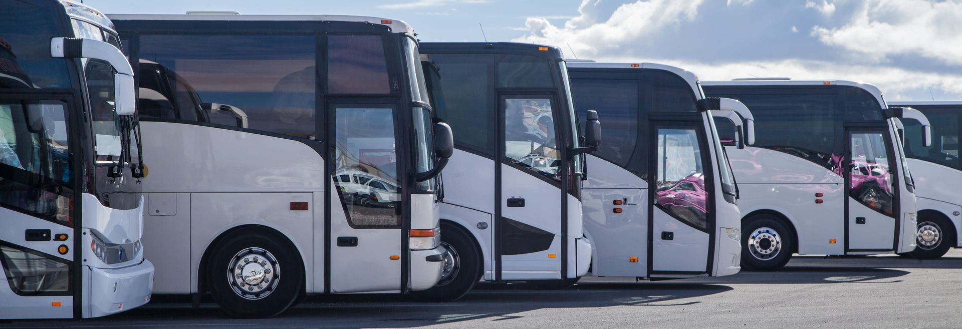 Mehrere Busse parken nebeneinander